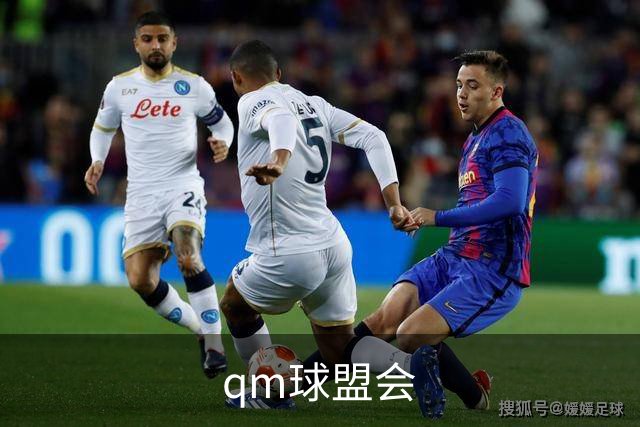 qm球盟会公司简介图片